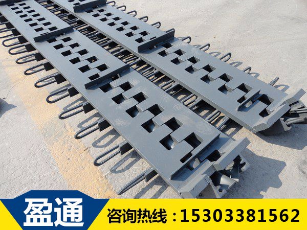 SSF橋梁伸縮縫?